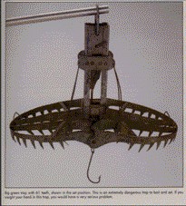 Fish trap with 61 teeth in set position.